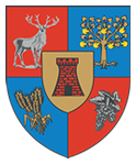 CONSILIUL JUDEȚEAN